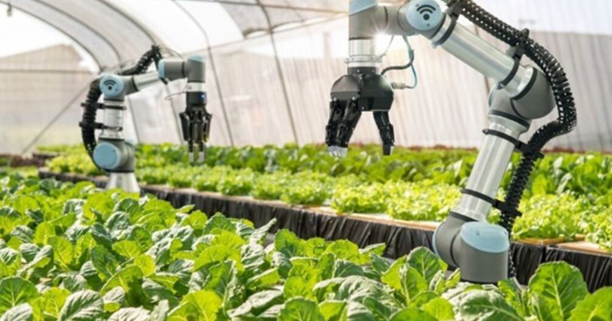 L’impact des technologies géospatiales sur l’agriculture moderne